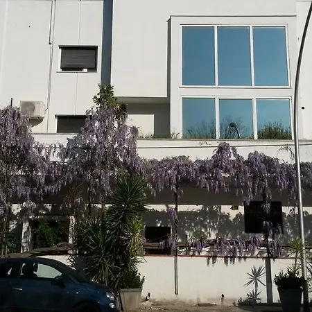 Calla' 3* ポリコーロ